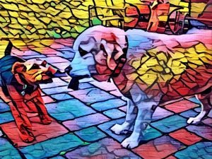 Prisma app