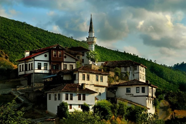 Taraklı Termal Maceramız (Vekil Emlak Ayıbı) yazısı kapak görseli