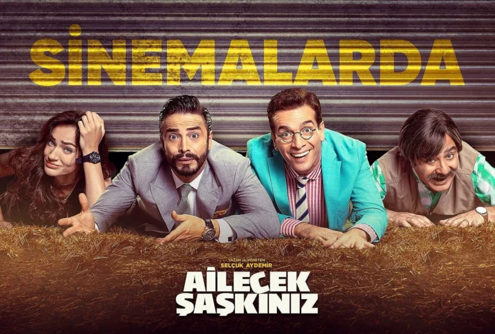 Sen benim özlemini çektiğim herşeysin. (Ailecek Şaşkınız filmi) yazısı kapak görseli